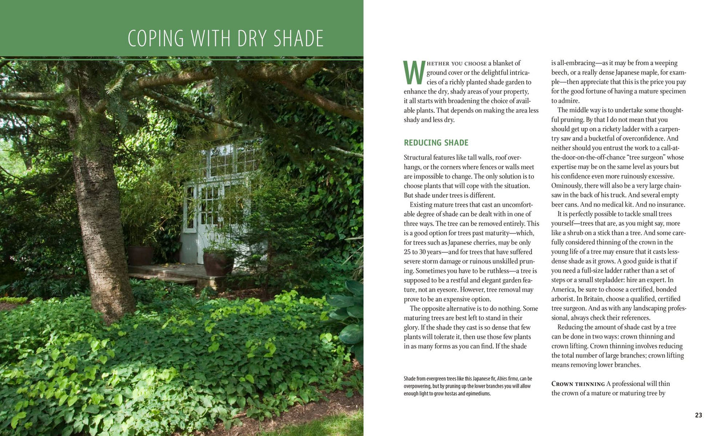 Planting the Dry Shade Garden: The Best Plants for the Toughest Spot in Your Garden