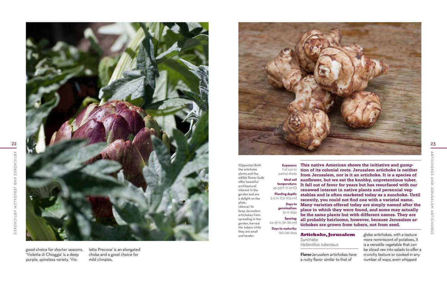 The Beginner's Guide to Growing Heirloom Vegetables: The 100 Easiest-to-Grow, Tastiest-to-Eat Vegetables for Your Garden
