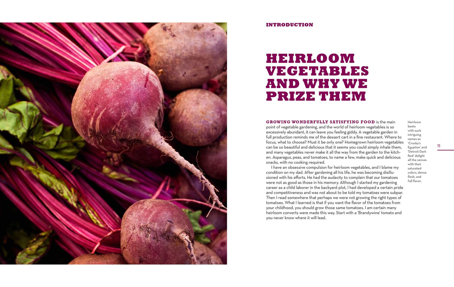 The Beginner's Guide to Growing Heirloom Vegetables: The 100 Easiest-to-Grow, Tastiest-to-Eat Vegetables for Your Garden