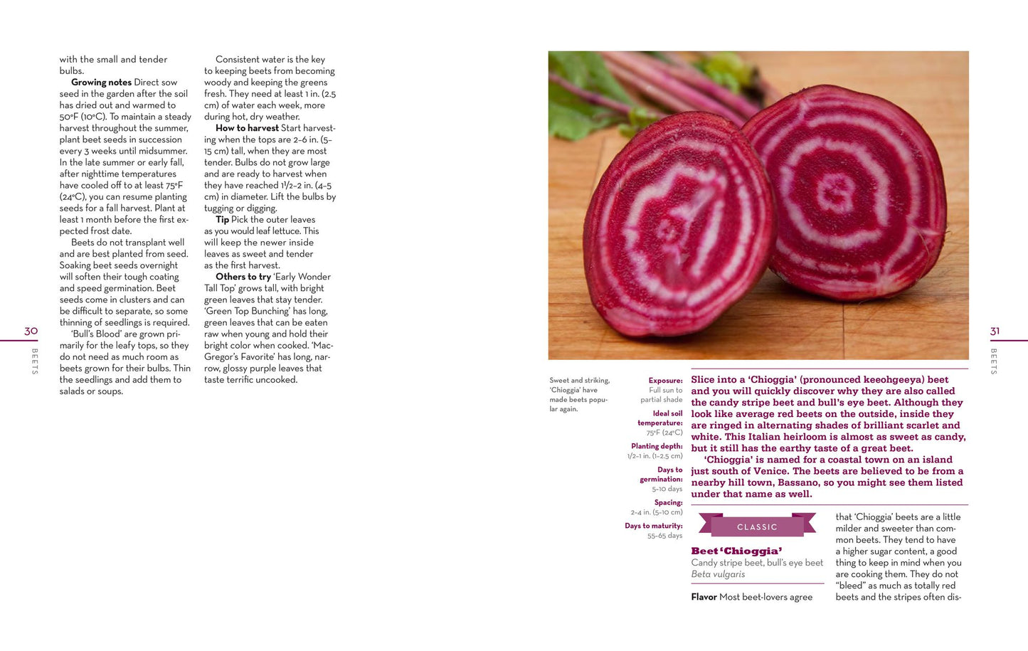 The Beginner's Guide to Growing Heirloom Vegetables: The 100 Easiest-to-Grow, Tastiest-to-Eat Vegetables for Your Garden