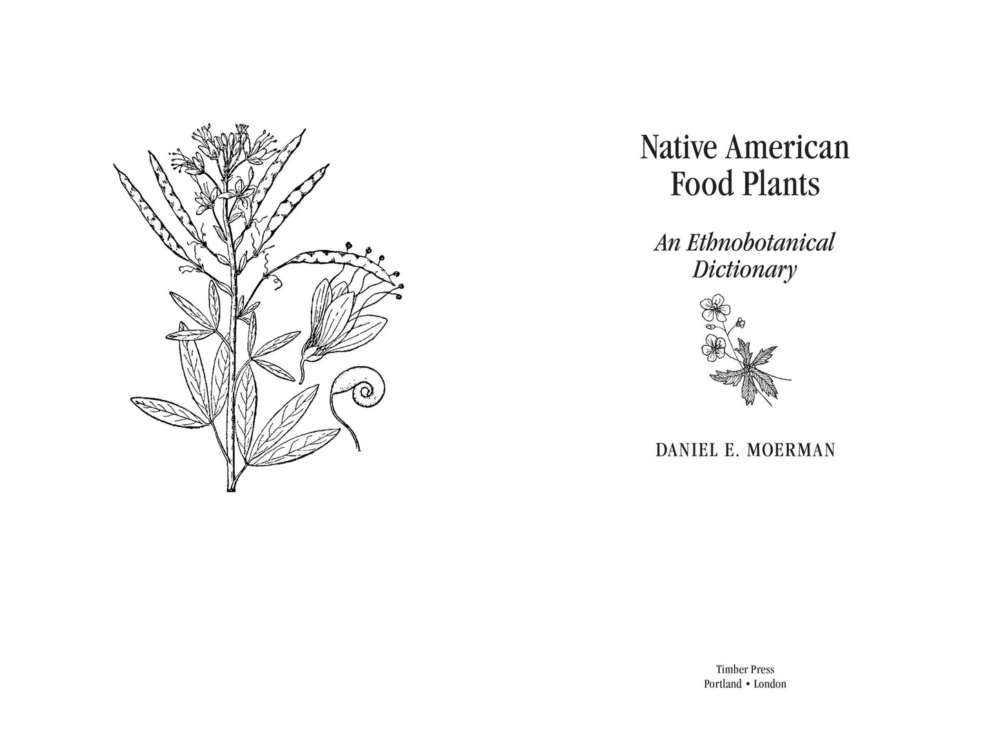 Native American Food Plants: An Ethnobotanical Dictionary