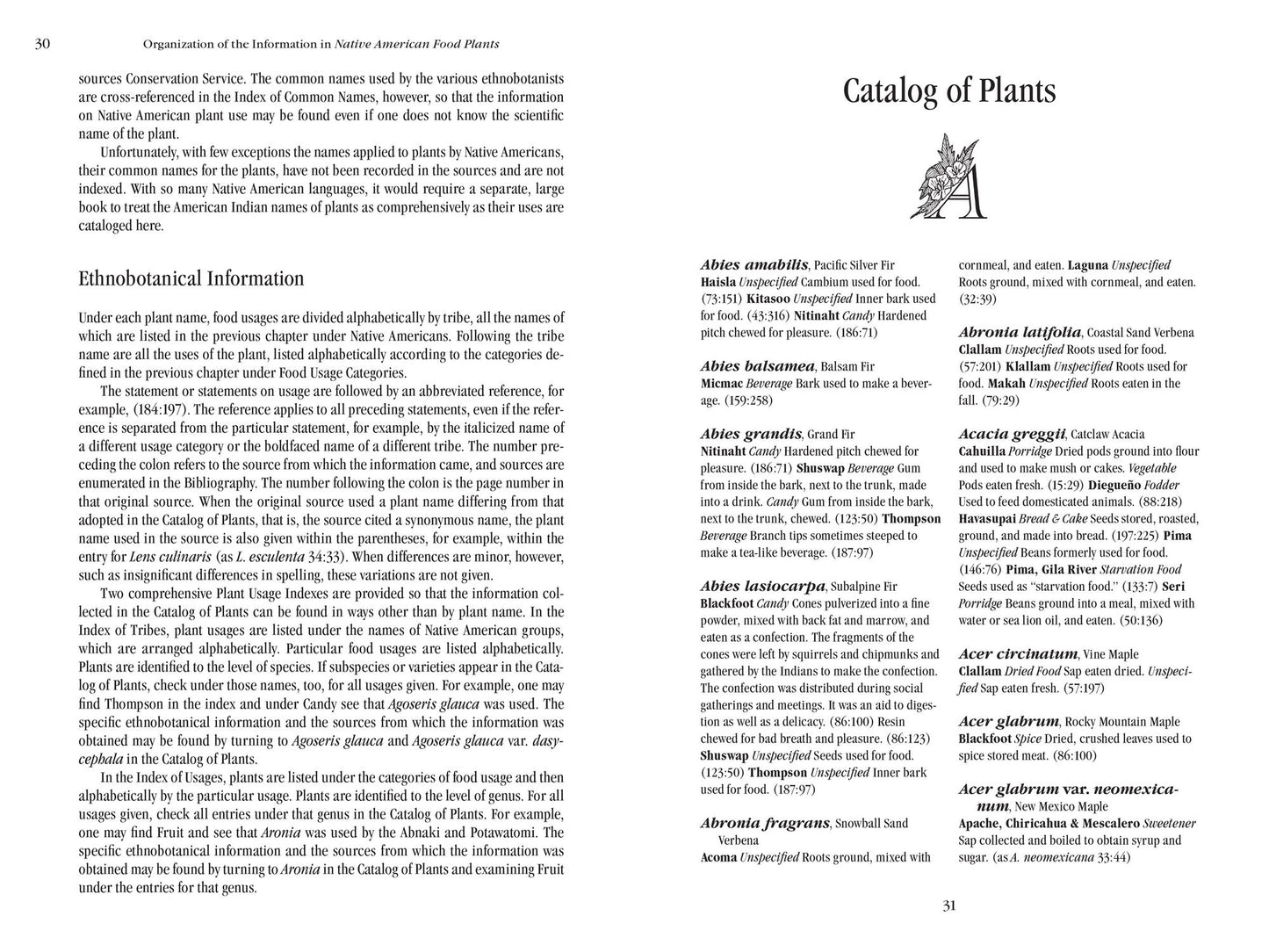 Native American Food Plants: An Ethnobotanical Dictionary