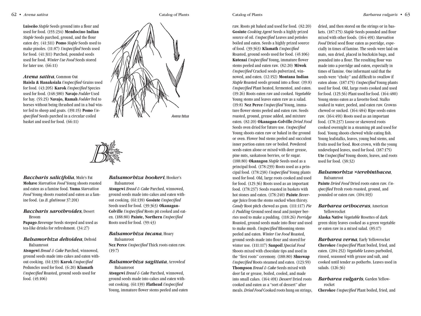 Native American Food Plants: An Ethnobotanical Dictionary