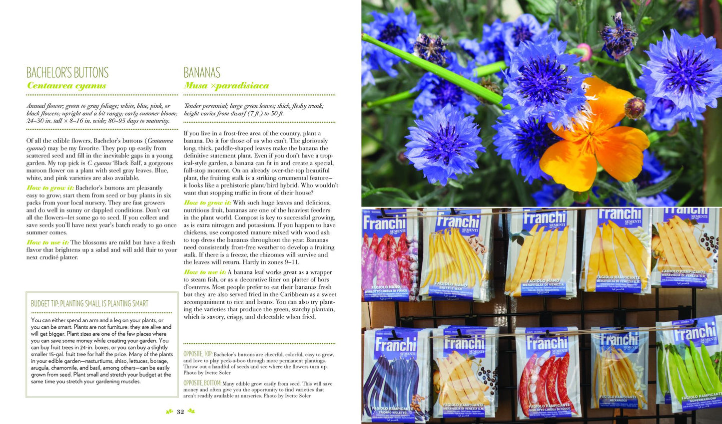 The Edible Front Yard: The Mow-Less, Grow-More Plan for a Beautiful, Bountiful Garden