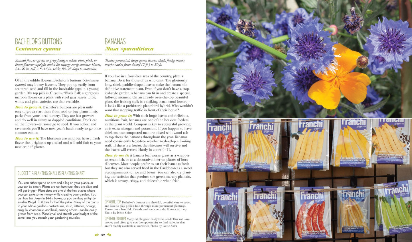 The Edible Front Yard: The Mow-Less, Grow-More Plan for a Beautiful, Bountiful Garden