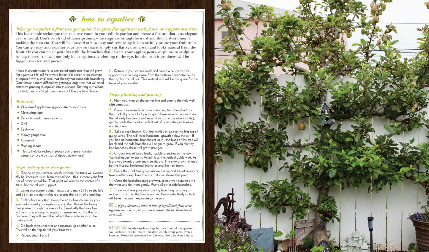 The Edible Front Yard: The Mow-Less, Grow-More Plan for a Beautiful, Bountiful Garden