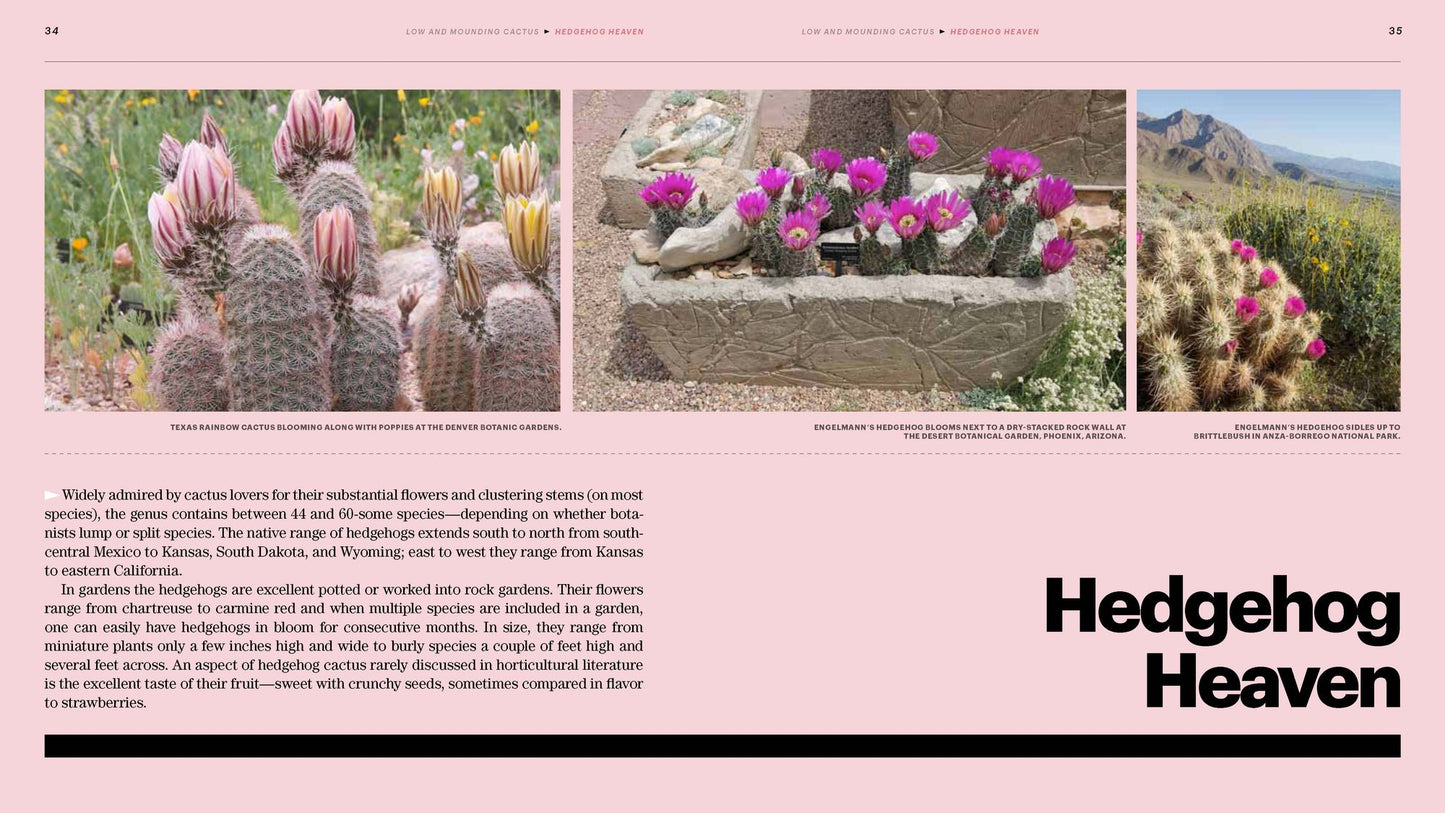 The Gardener's Guide to Cactus: The 100 Best Paddles, Barrels, Columns, and Globes