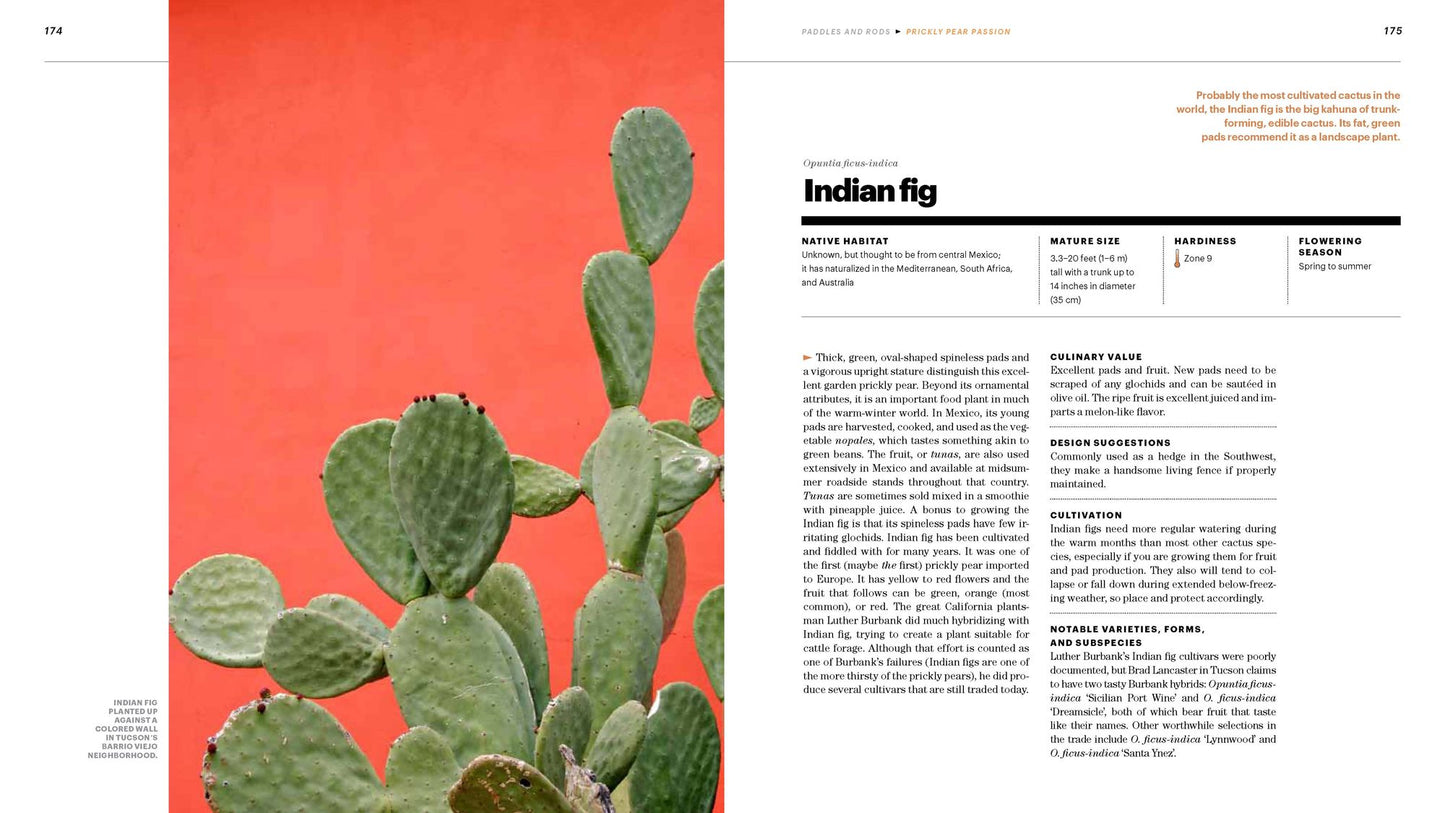 The Gardener's Guide to Cactus: The 100 Best Paddles, Barrels, Columns, and Globes