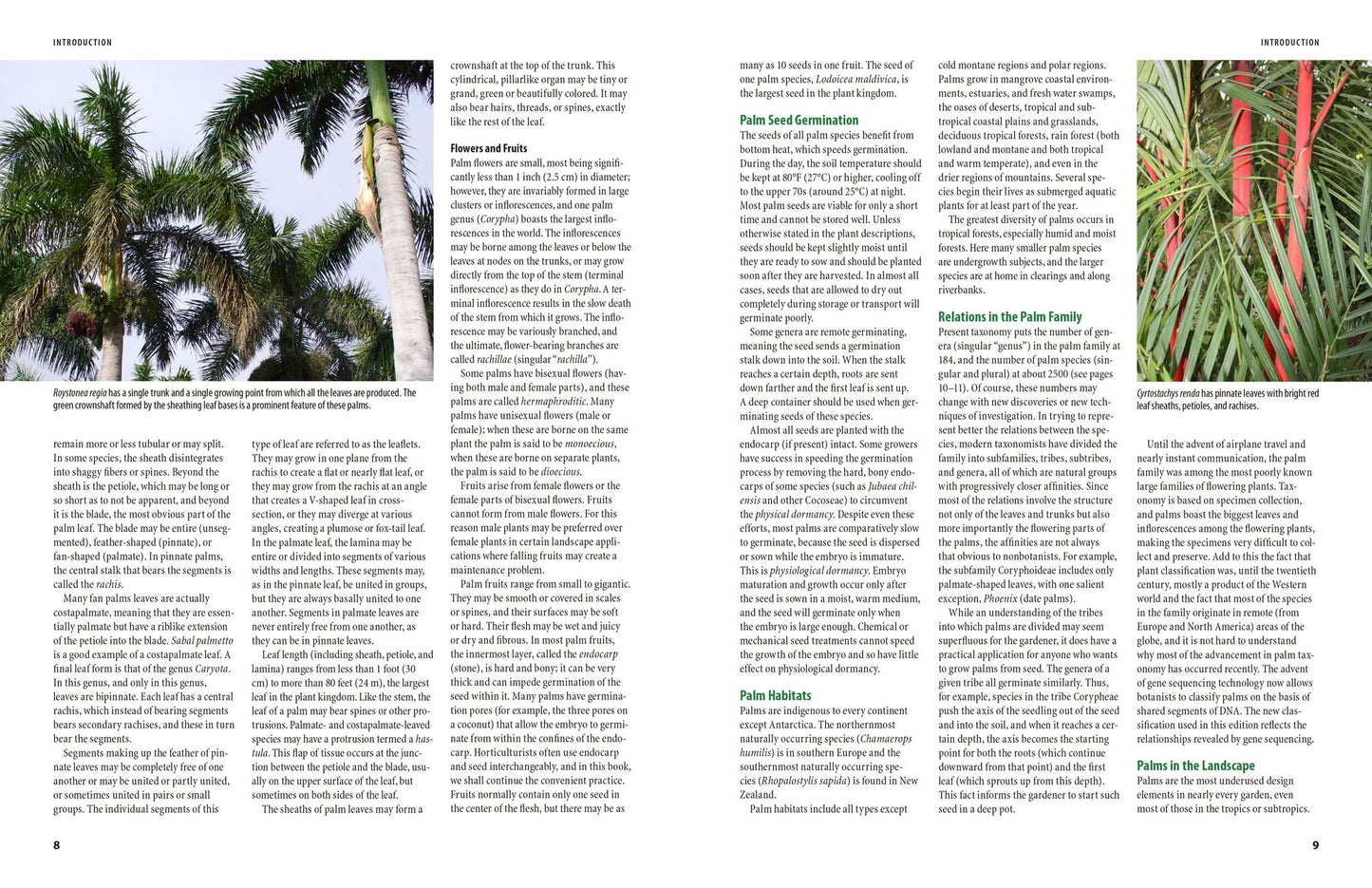 The Encyclopedia of Cultivated Palms