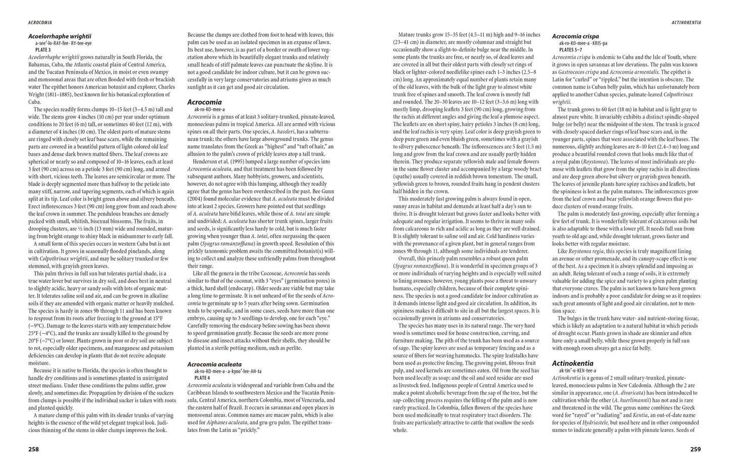 The Encyclopedia of Cultivated Palms