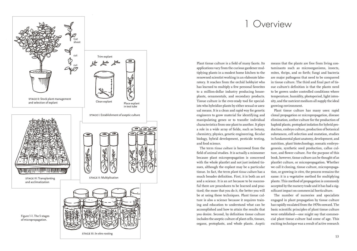 Plants from Test Tubes: An Introduction to Micropropogation