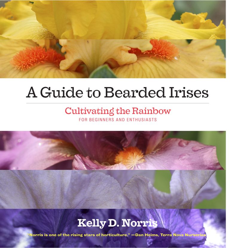 A Guide to Bearded Irises: Cultivating the Rainbow for Beginners and Enthusiasts