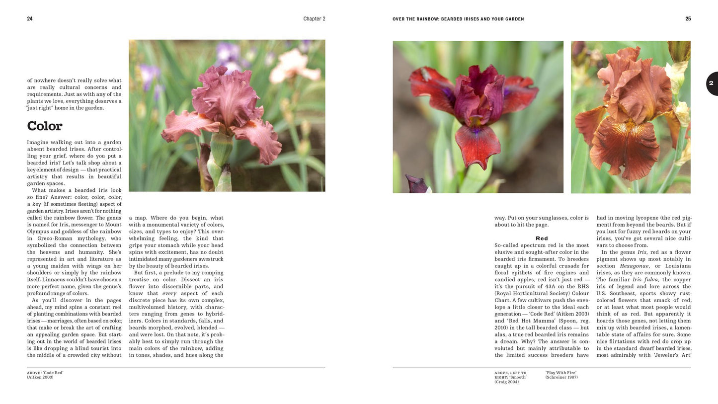 A Guide to Bearded Irises: Cultivating the Rainbow for Beginners and Enthusiasts