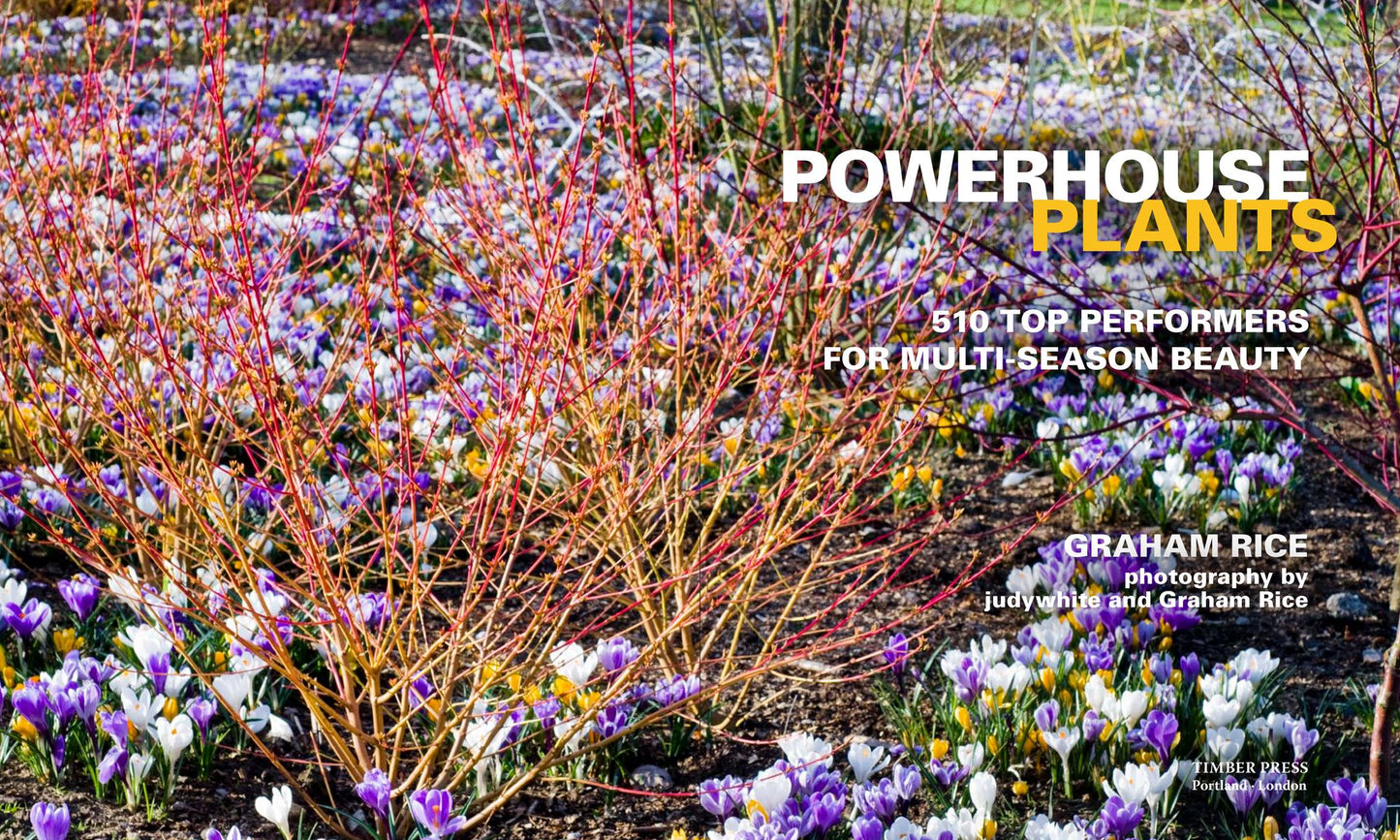 Powerhouse Plants: 510 Top Performers for Multi-Season Beauty