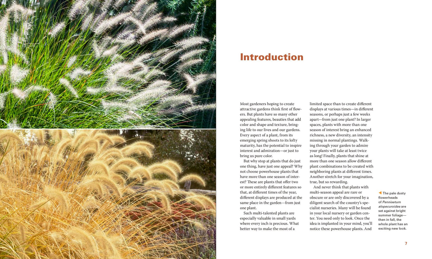 Powerhouse Plants: 510 Top Performers for Multi-Season Beauty
