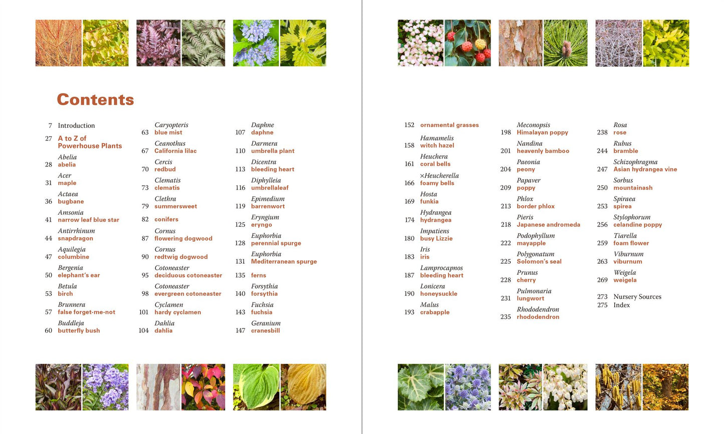 Powerhouse Plants: 510 Top Performers for Multi-Season Beauty
