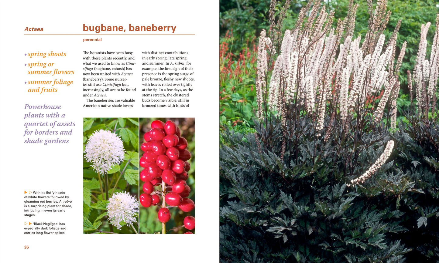 Powerhouse Plants: 510 Top Performers for Multi-Season Beauty