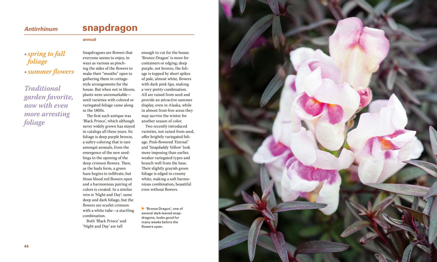 Powerhouse Plants: 510 Top Performers for Multi-Season Beauty