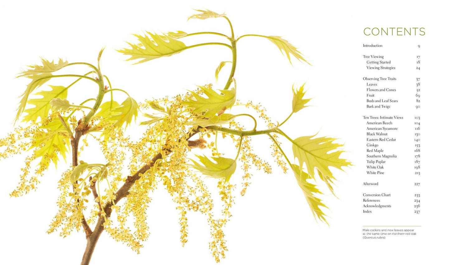 Seeing Trees: Discover the Extraordinary Secrets of Everyday Trees