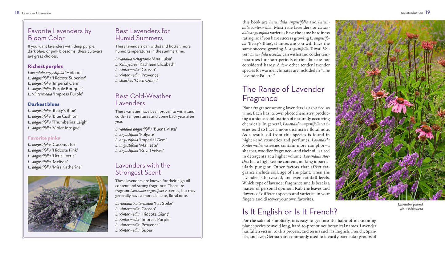 The Lavender Lover's Handbook: The 100 Most Beautiful and Fragrant Varieties for Growing, Crafting, and Cookin