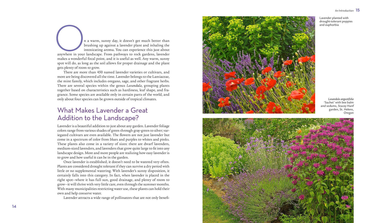 The Lavender Lover's Handbook: The 100 Most Beautiful and Fragrant Varieties for Growing, Crafting, and Cookin