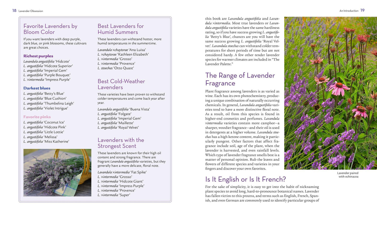 The Lavender Lover's Handbook: The 100 Most Beautiful and Fragrant Varieties for Growing, Crafting, and Cookin
