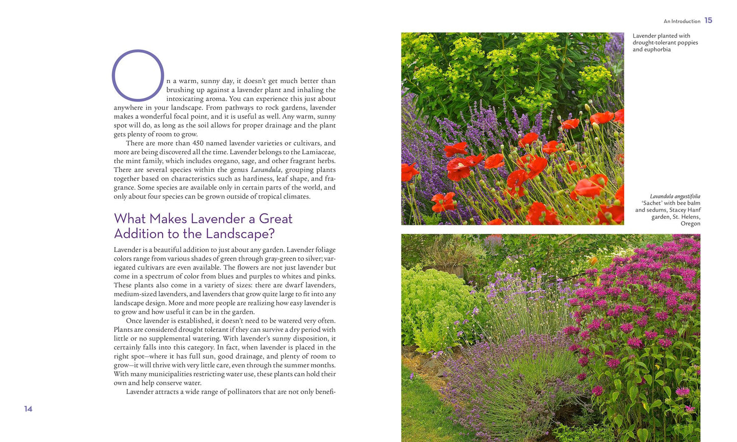 The Lavender Lover's Handbook: The 100 Most Beautiful and Fragrant Varieties for Growing, Crafting, and Cookin
