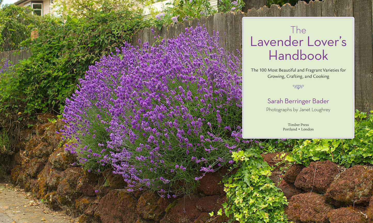 The Lavender Lover's Handbook: The 100 Most Beautiful and Fragrant Varieties for Growing, Crafting, and Cookin