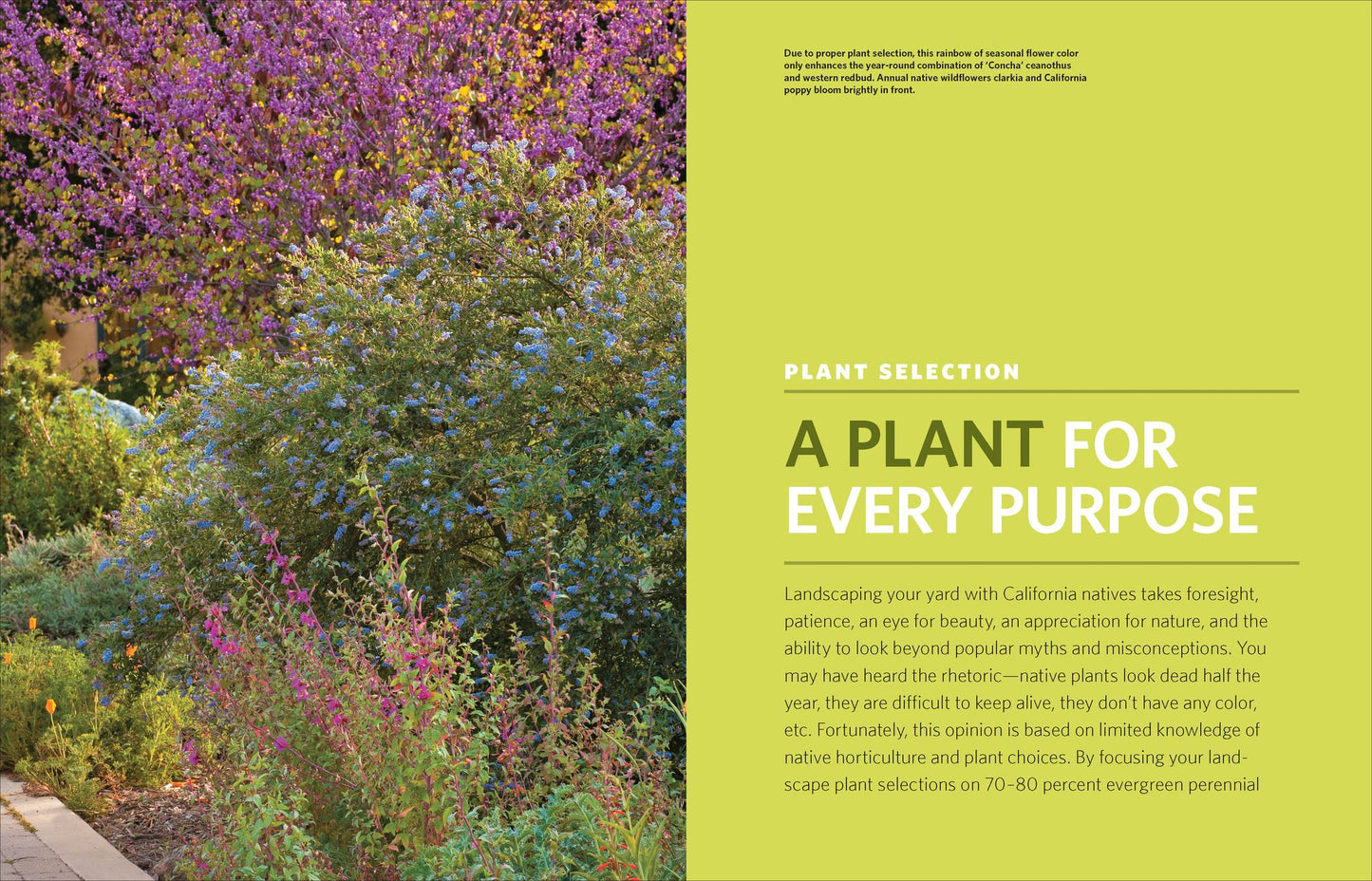 The California Native Landscape: The Homeowner's Design Guide to Restoring Its Beauty and Balance