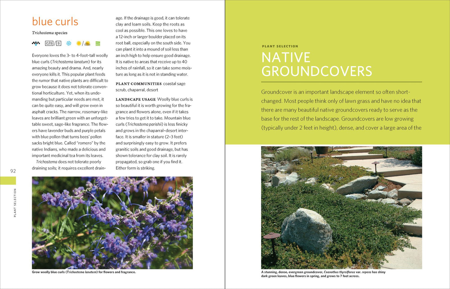 The California Native Landscape: The Homeowner's Design Guide to Restoring Its Beauty and Balance