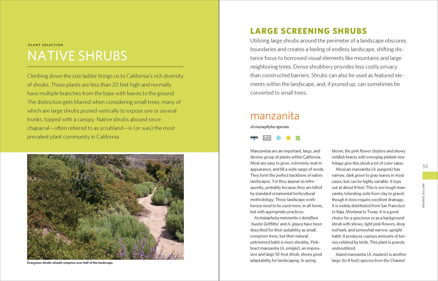 The California Native Landscape: The Homeowner's Design Guide to Restoring Its Beauty and Balance