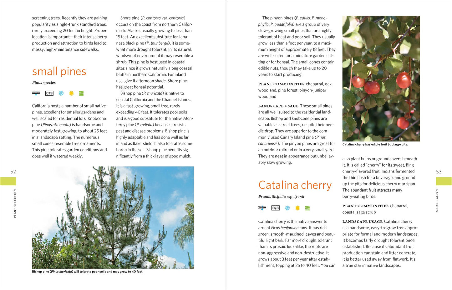 The California Native Landscape: The Homeowner's Design Guide to Restoring Its Beauty and Balance