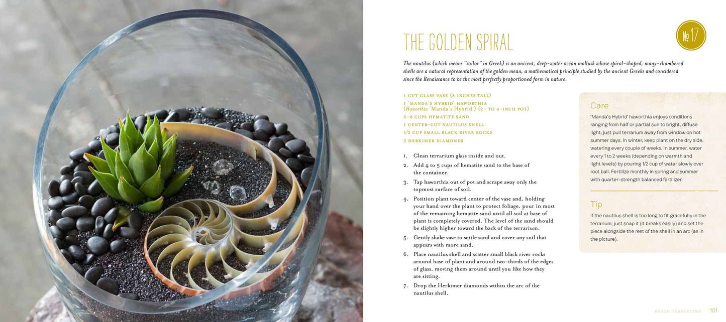 Terrarium Craft: Create 50 Magical, Miniature Worlds