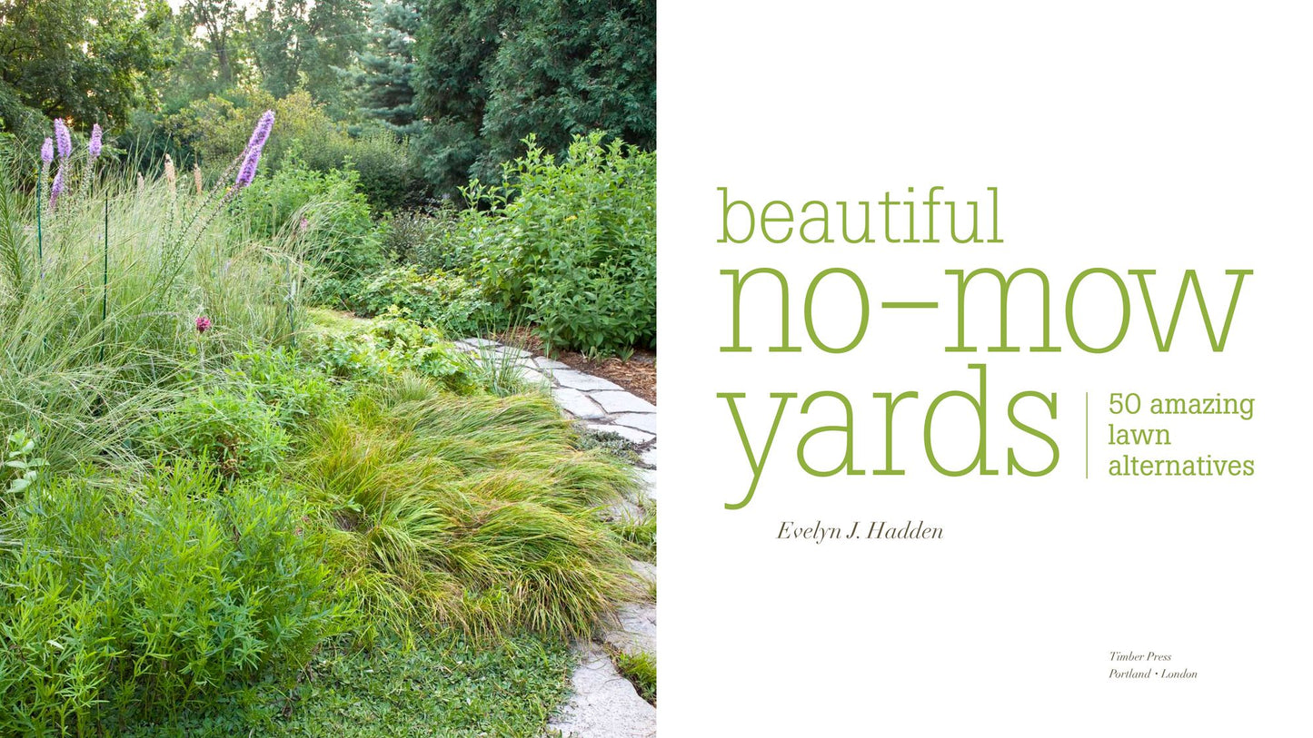 Beautiful No-Mow Yards: 50 Amazing Lawn Alternatives