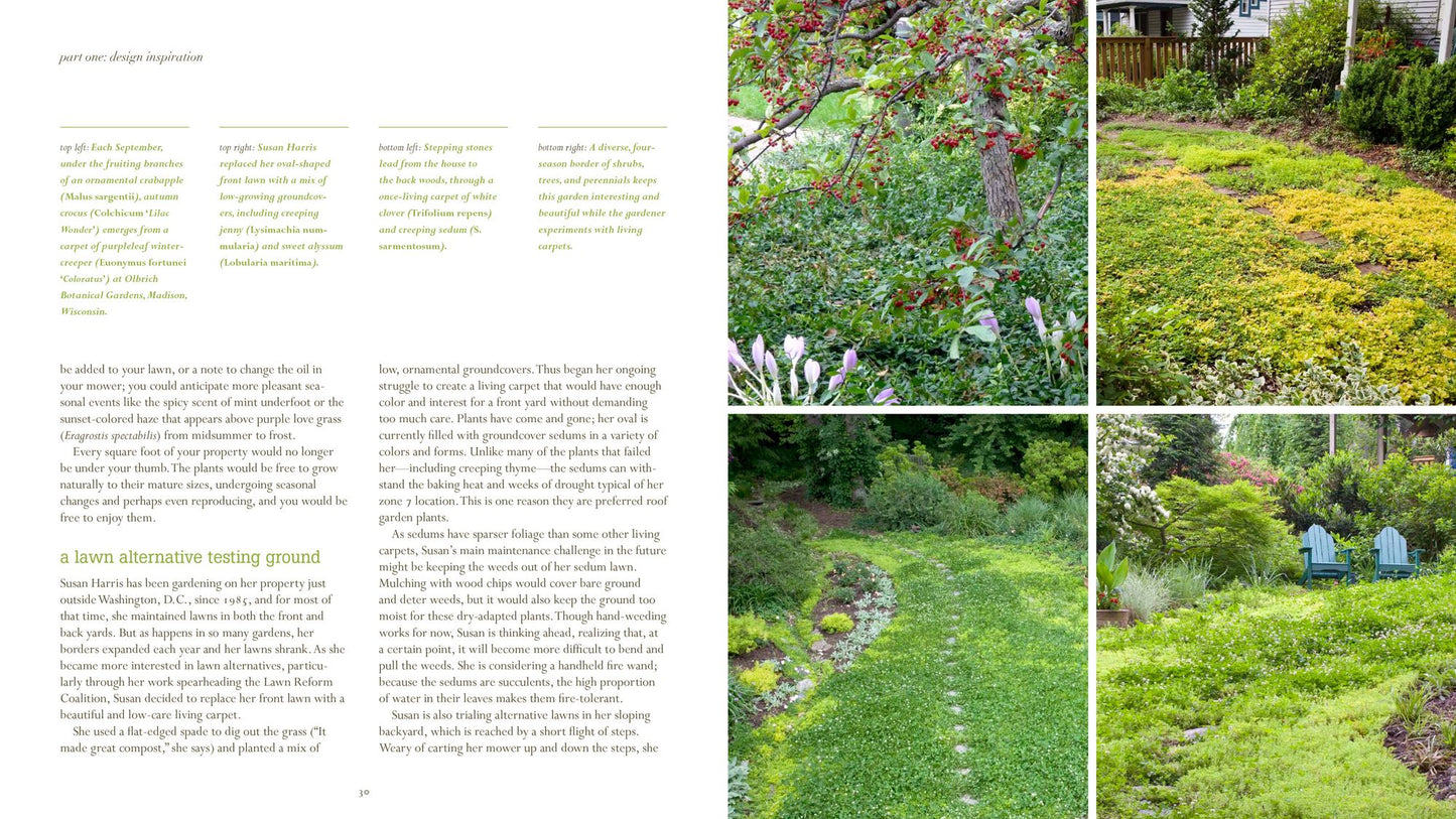 Beautiful No-Mow Yards: 50 Amazing Lawn Alternatives