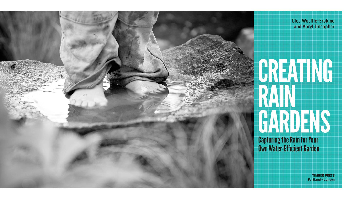 Creating Rain Gardens: Capturing the Rain for Your Own Water-Efficient Garden