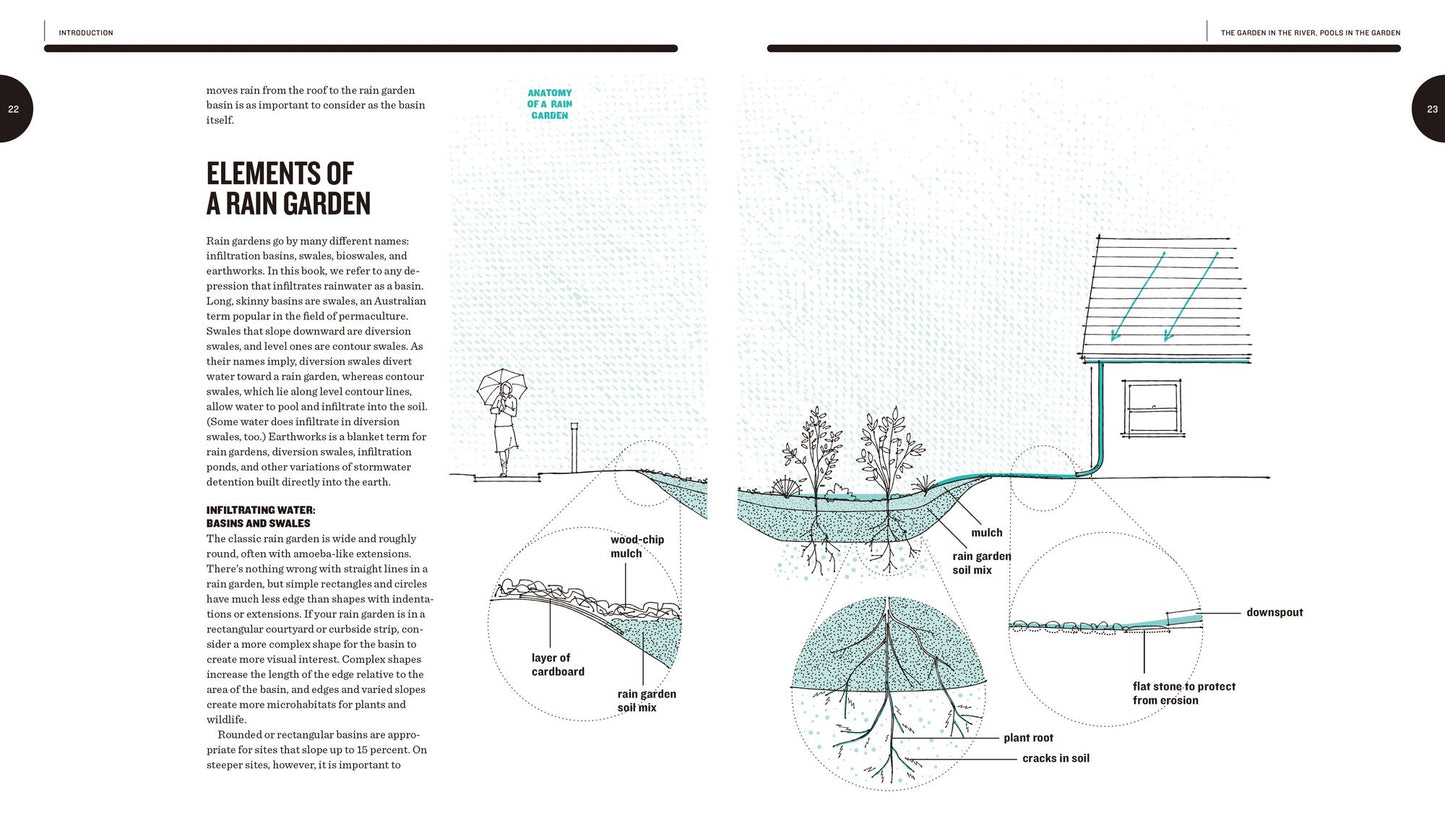 Creating Rain Gardens: Capturing the Rain for Your Own Water-Efficient Garden