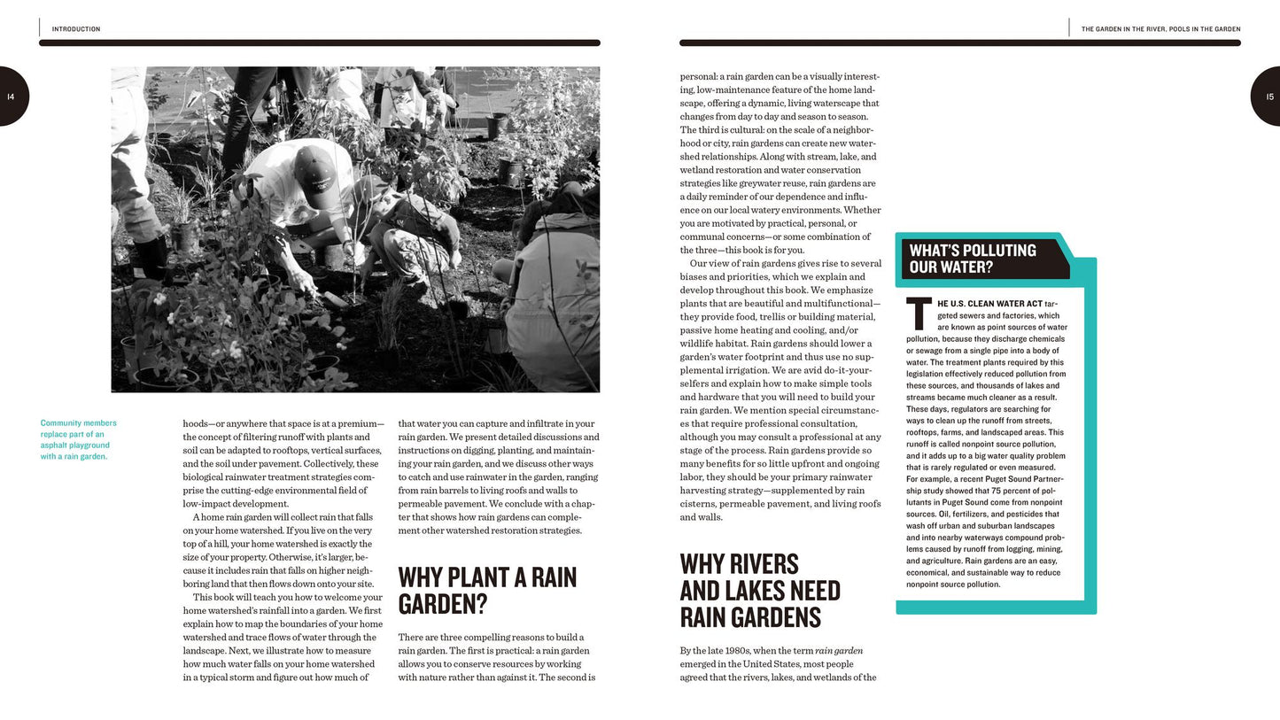 Creating Rain Gardens: Capturing the Rain for Your Own Water-Efficient Garden