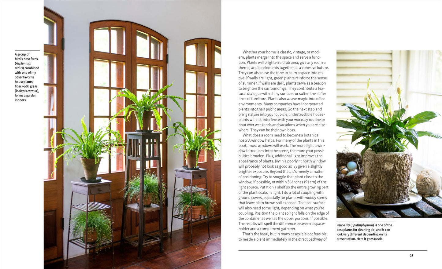 The Unexpected Houseplant: 220 Extraordinary Choices for Every Spot in Your Home