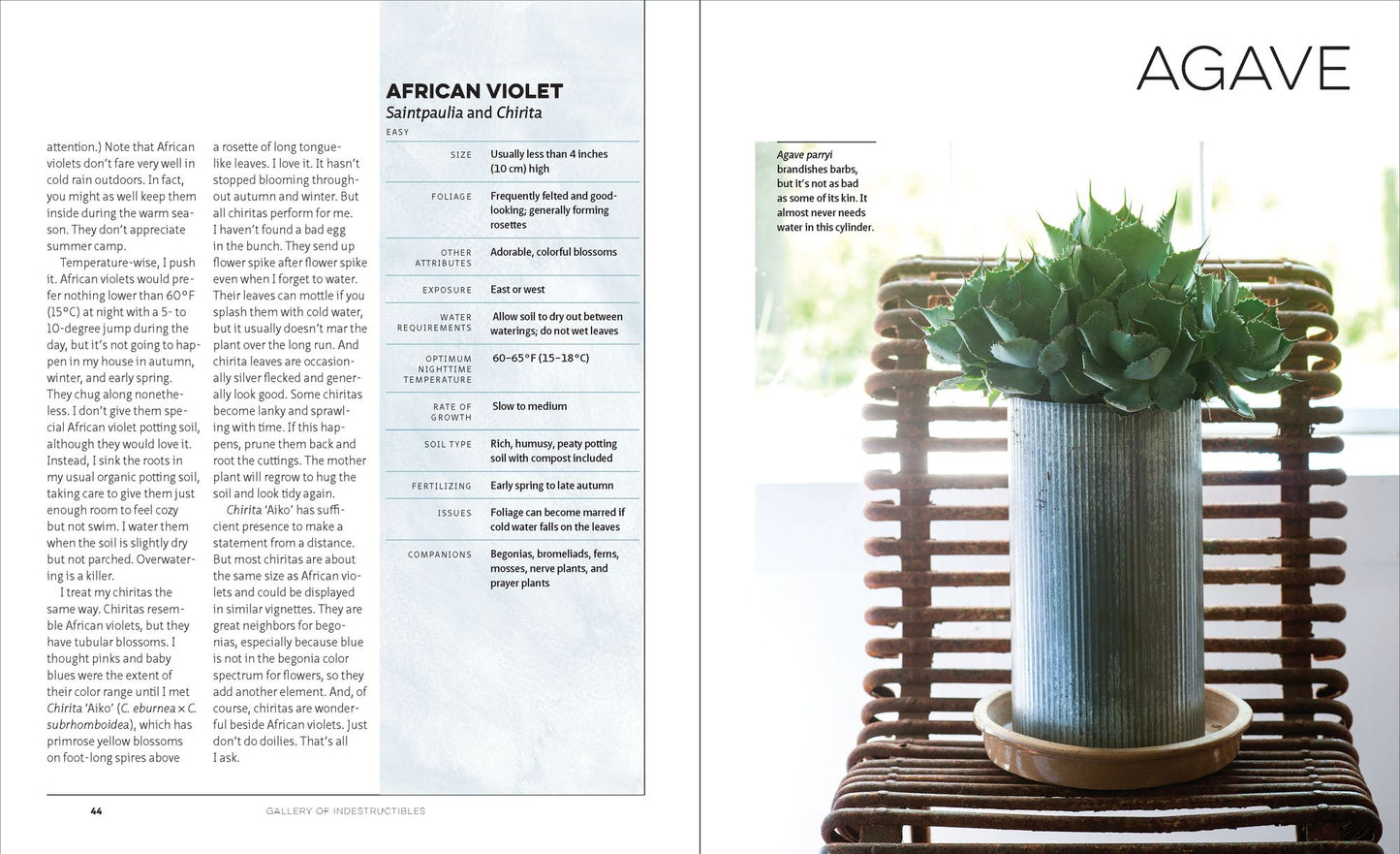 The Unexpected Houseplant: 220 Extraordinary Choices for Every Spot in Your Home