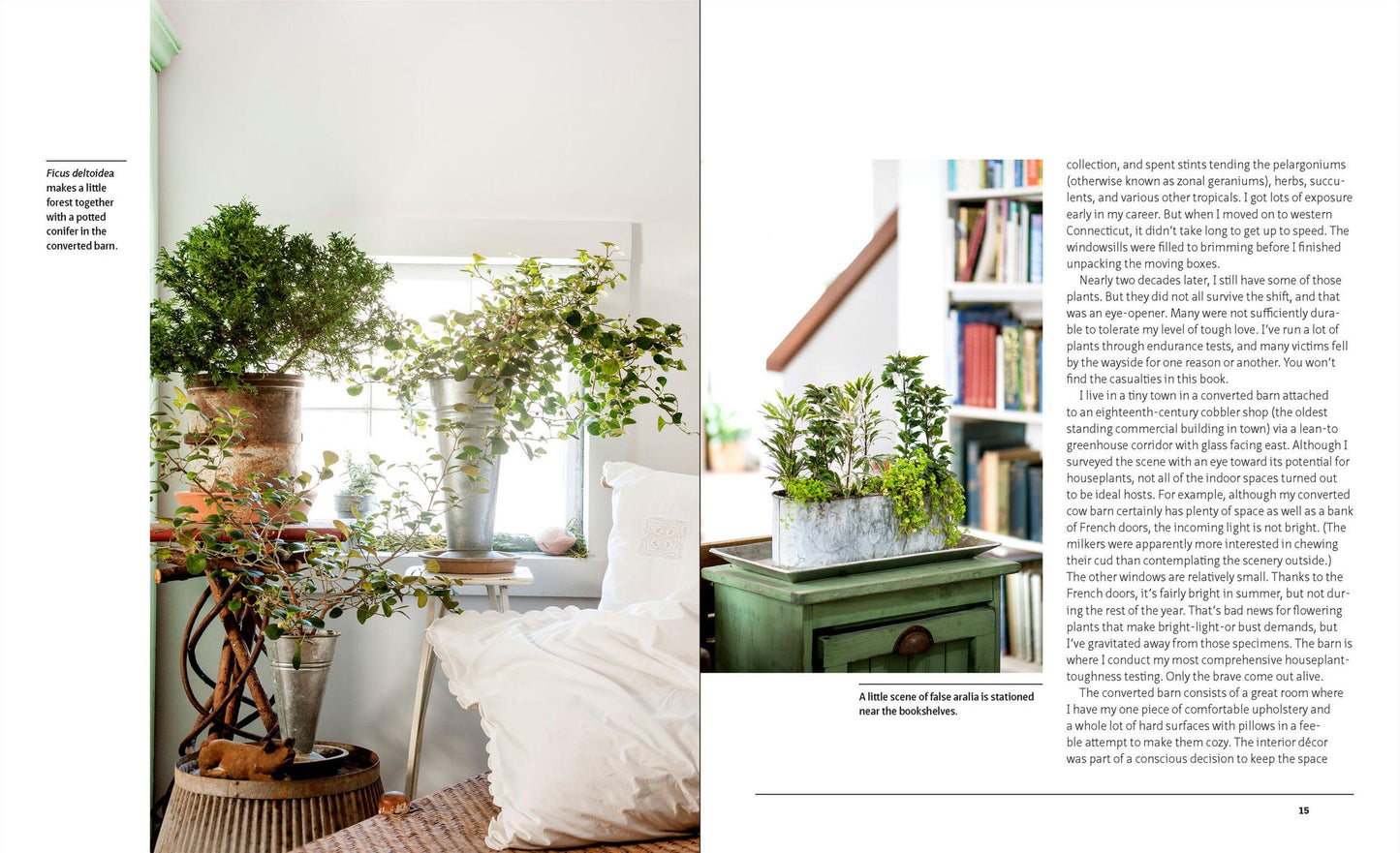 The Unexpected Houseplant: 220 Extraordinary Choices for Every Spot in Your Home
