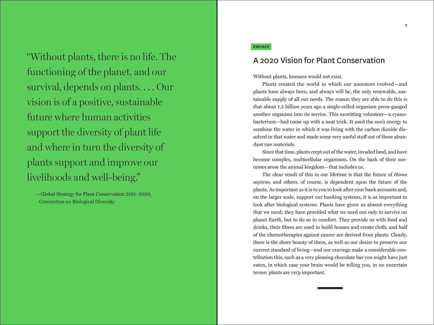 Plant Conservation: Why It Matters and How It Works