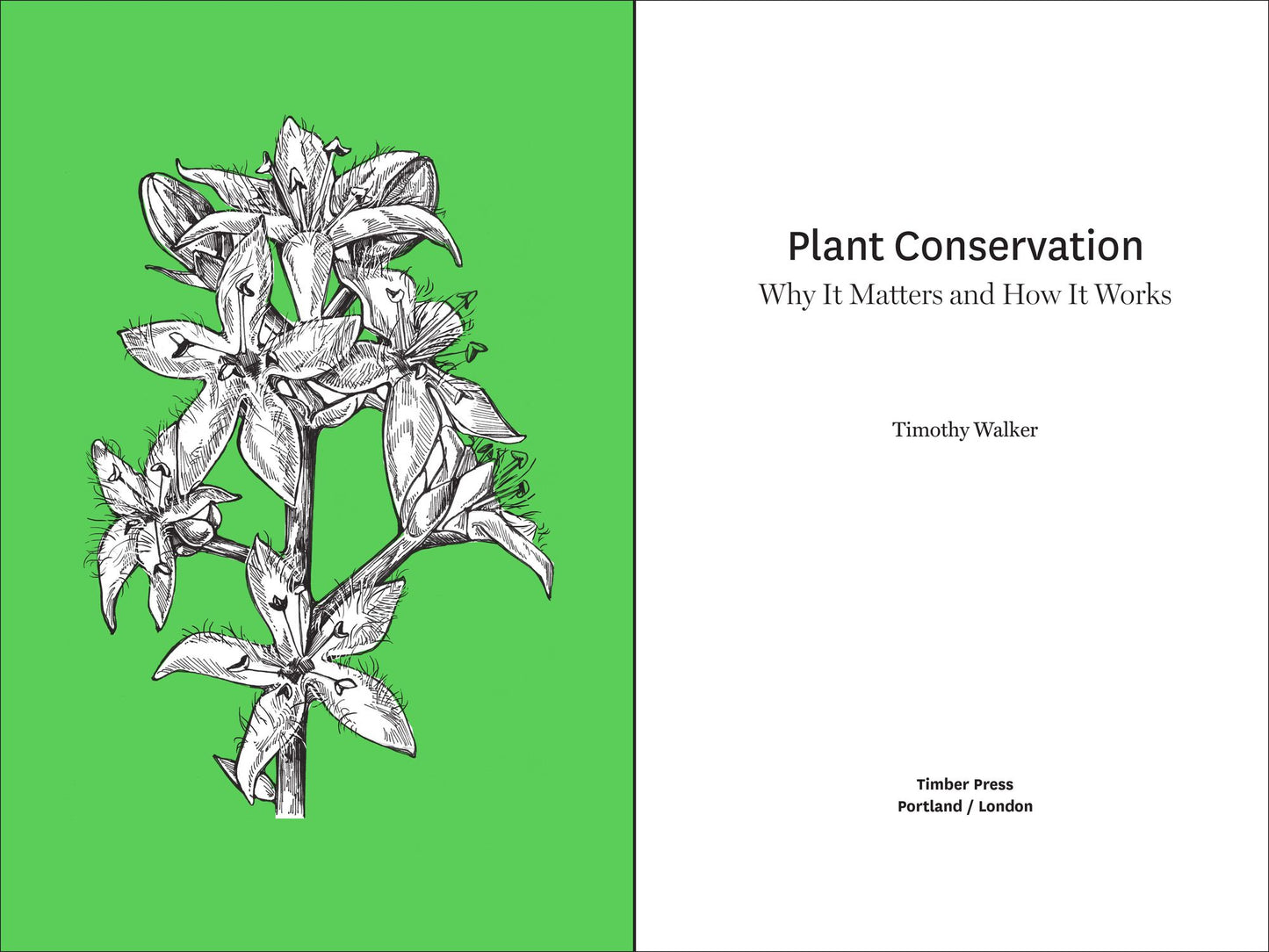 Plant Conservation: Why It Matters and How It Works