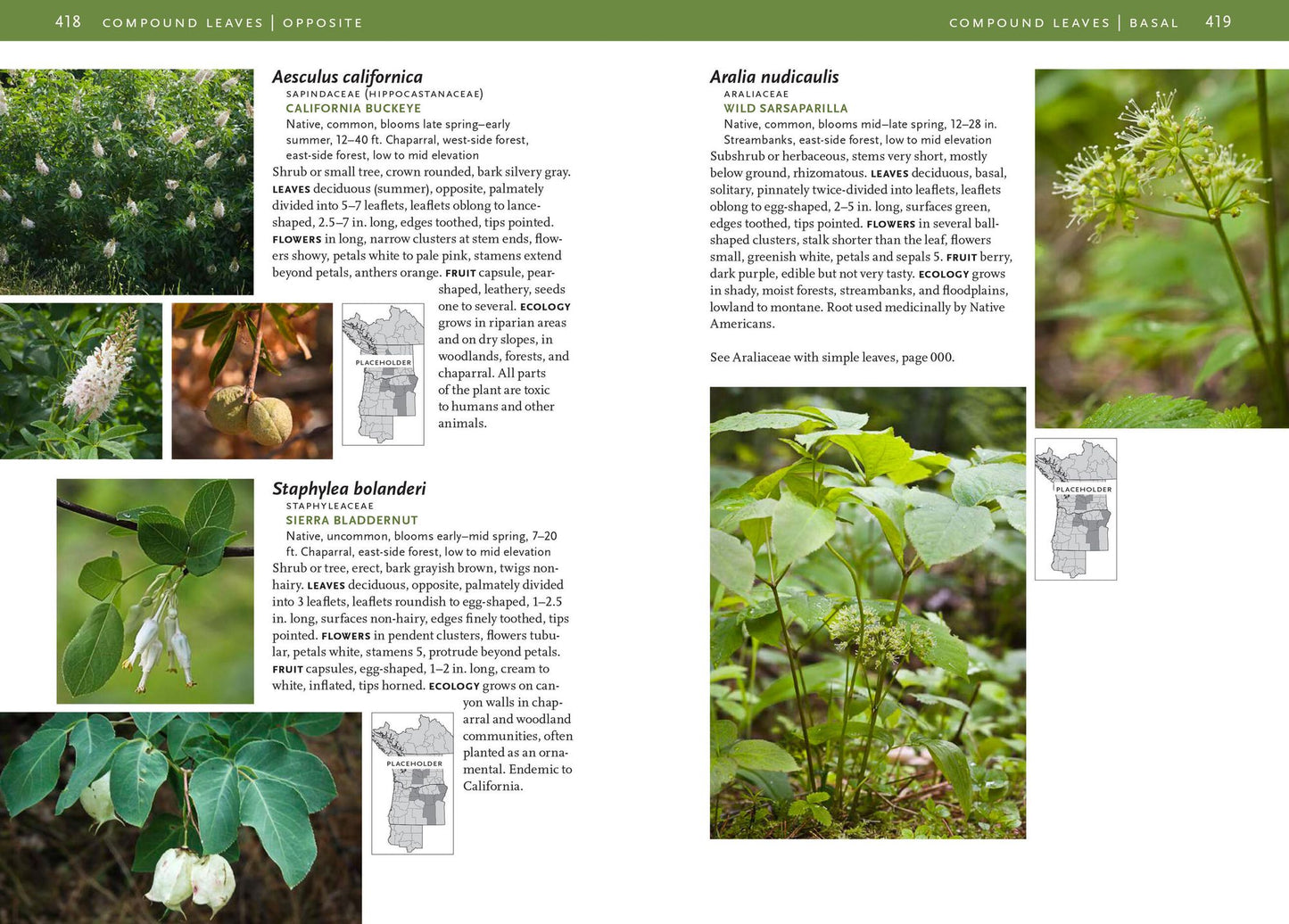 Trees and Shrubs of the Pacific Northwest
