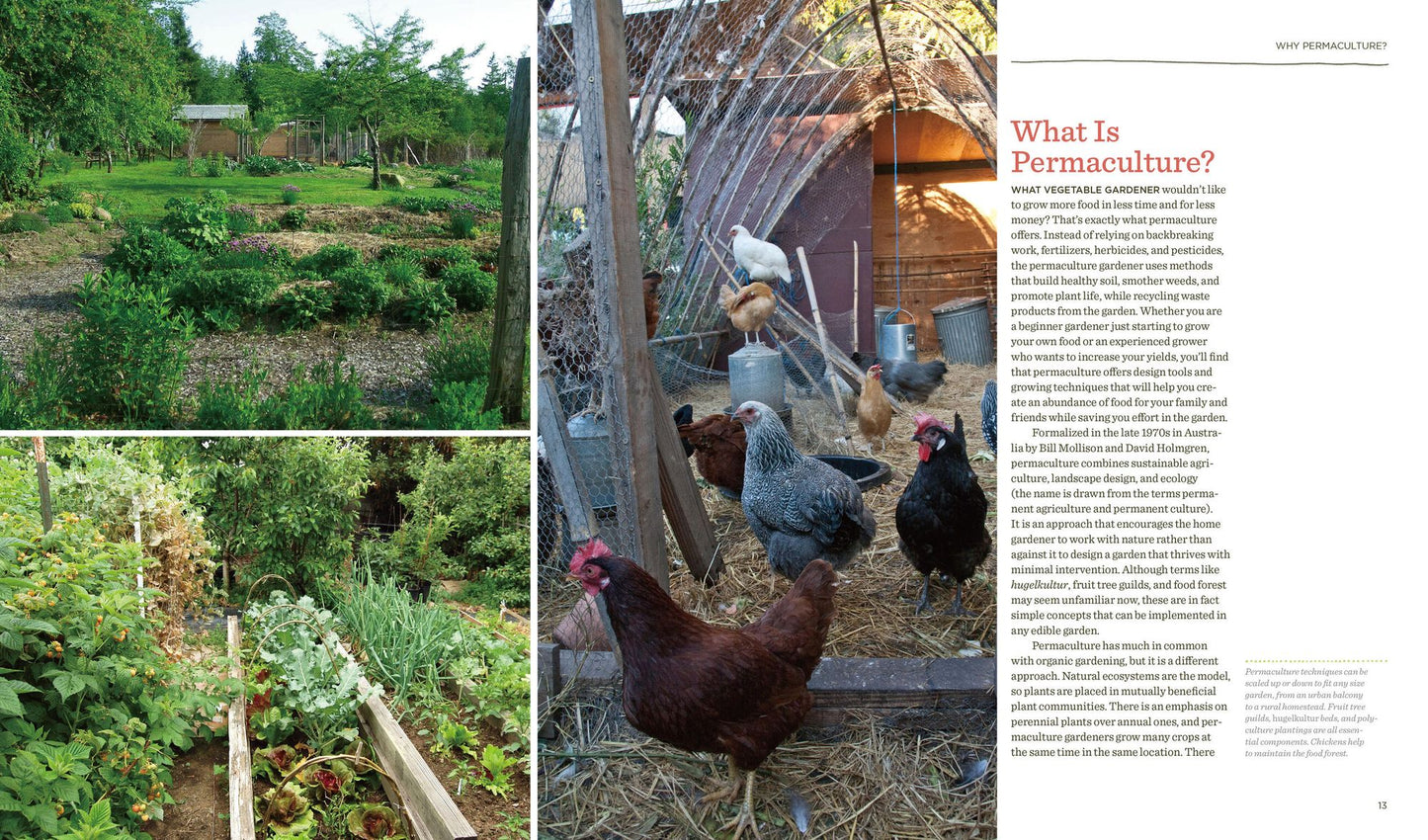 The Vegetable Gardener's Guide to Permaculture: Creating an Edible Ecosystem