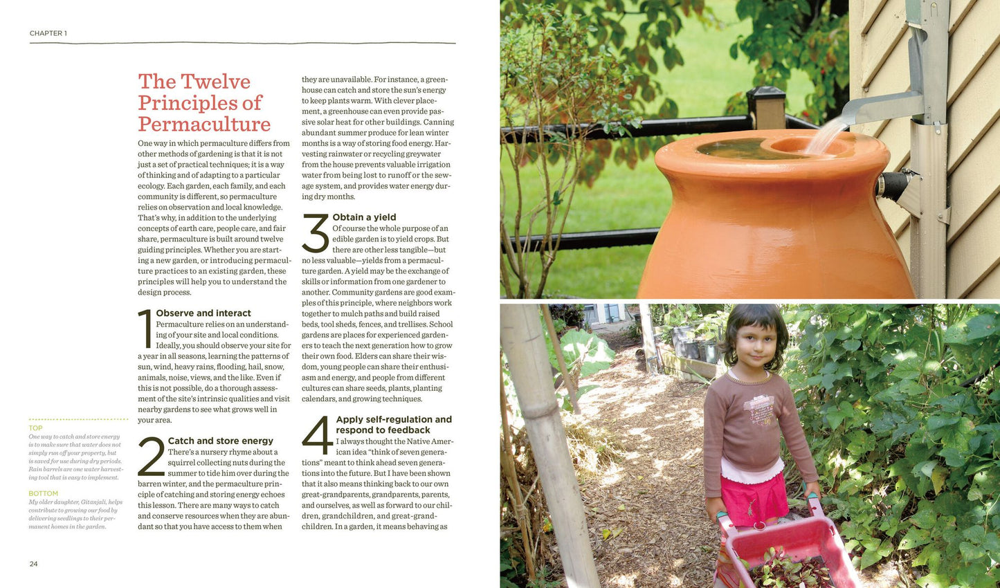 The Vegetable Gardener's Guide to Permaculture: Creating an Edible Ecosystem