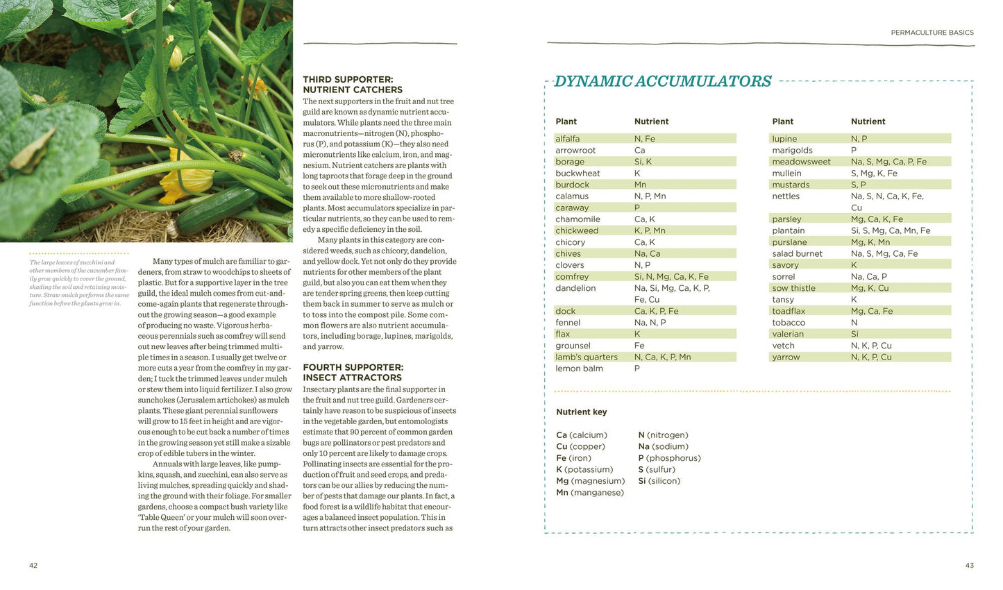 The Vegetable Gardener's Guide to Permaculture: Creating an Edible Ecosystem