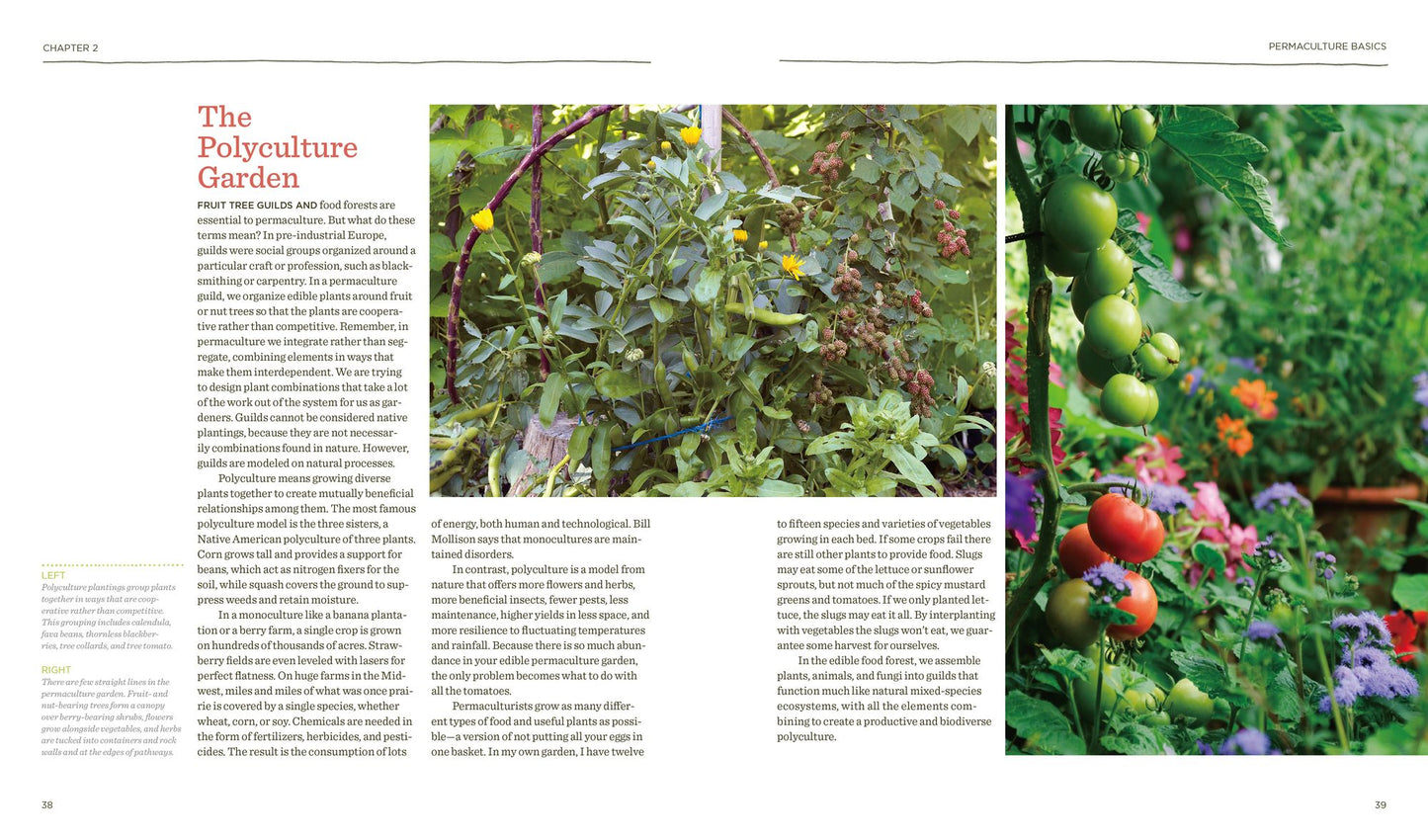 The Vegetable Gardener's Guide to Permaculture: Creating an Edible Ecosystem