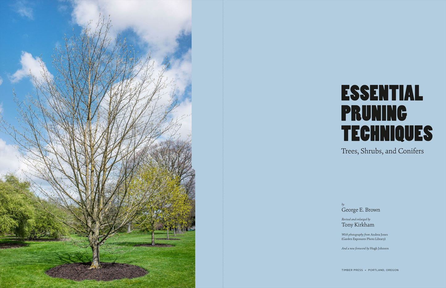 Essential Pruning Techniques: Trees, Shrubs, and Conifers
