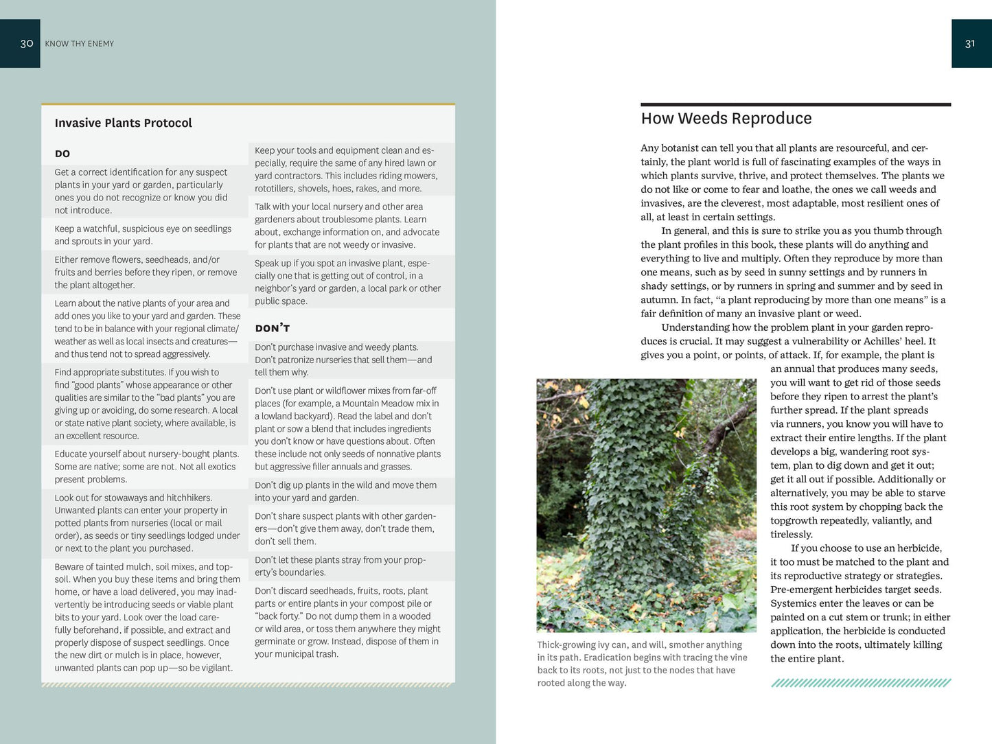 How to Eradicate Invasive Plants